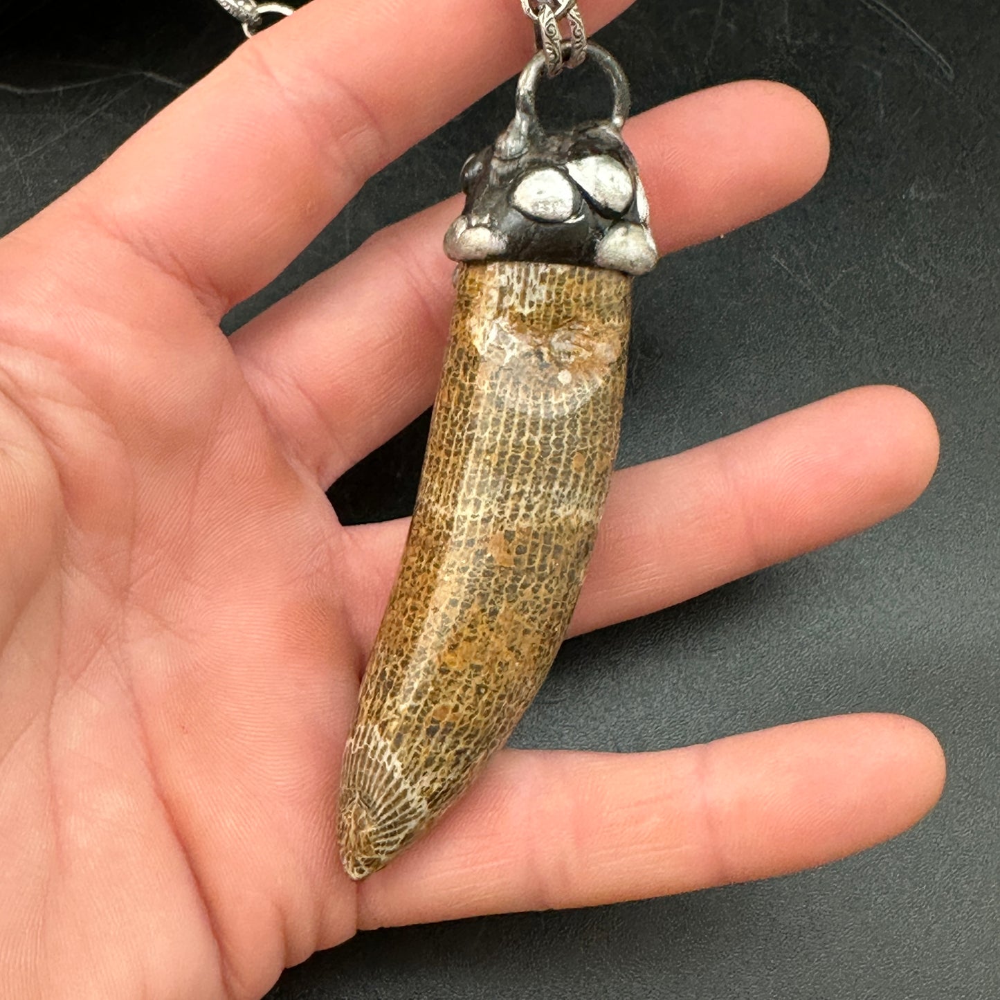 Horus ~ Fossil Horn Coral Necklace