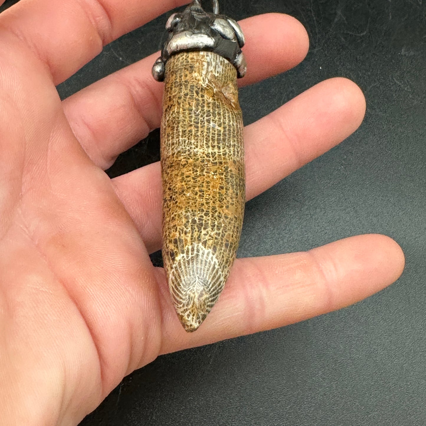 Horus ~ Fossil Horn Coral Necklace