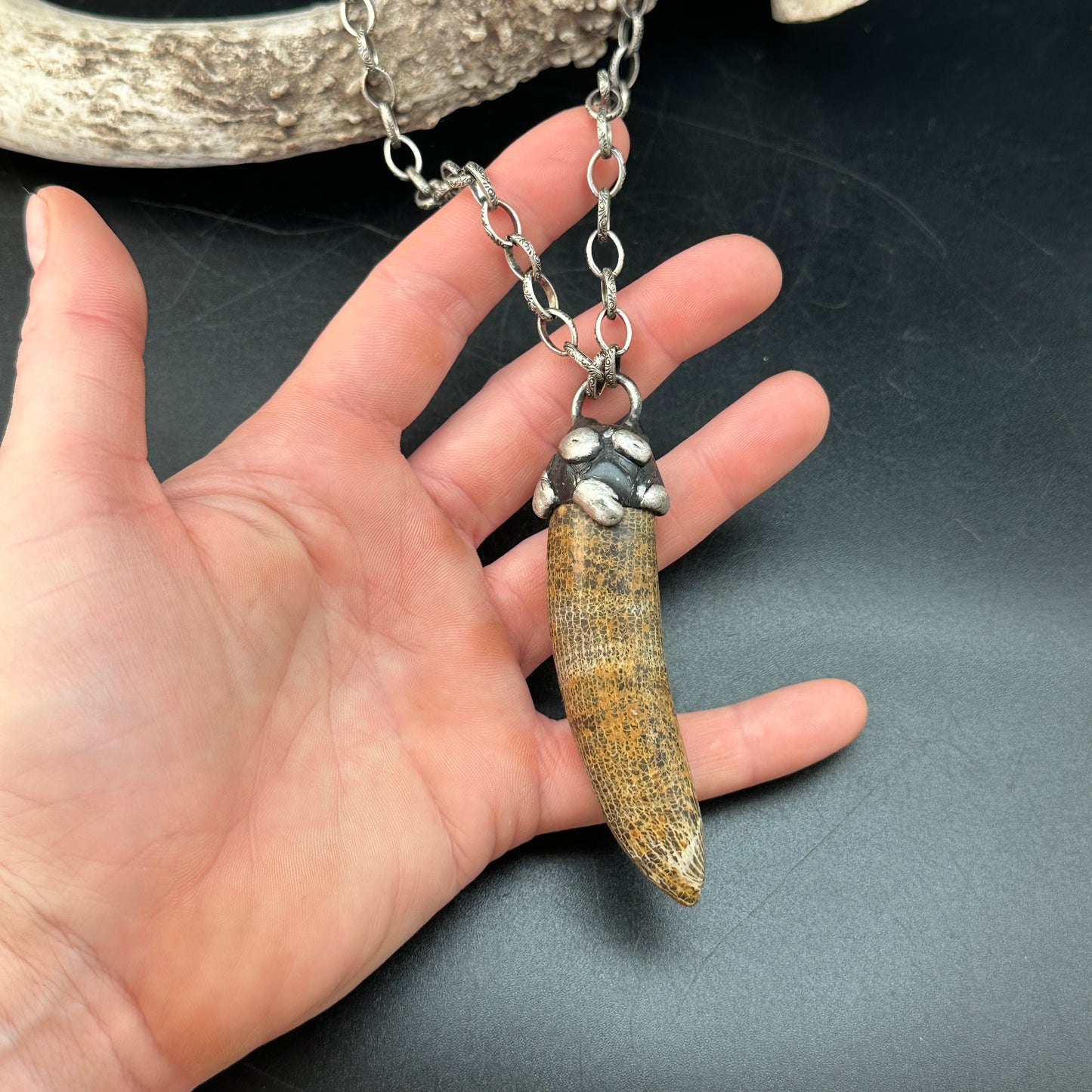 Horus ~ Fossil Horn Coral Necklace