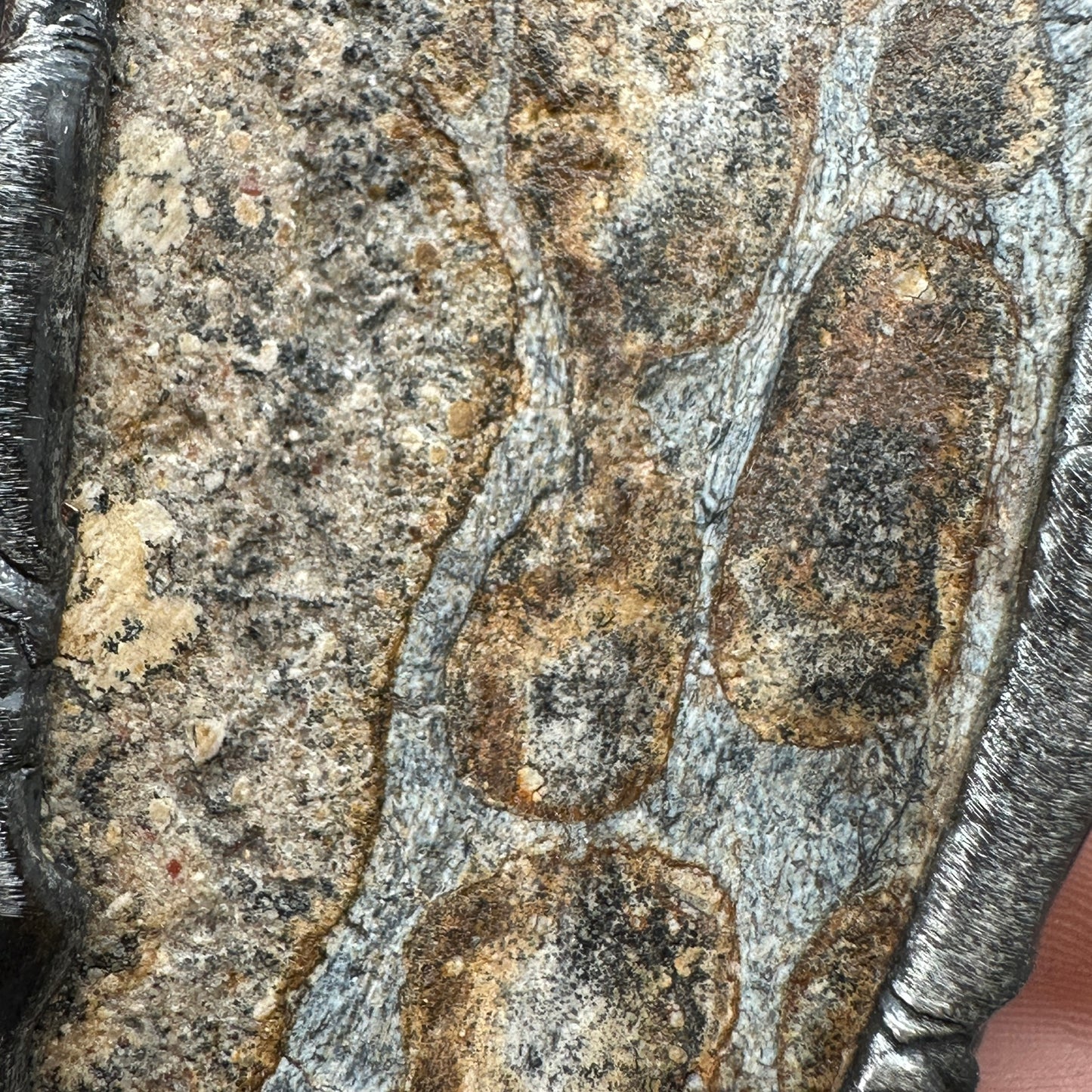 Mask ~ Carved Fossil Dinosaur Bone Necklace