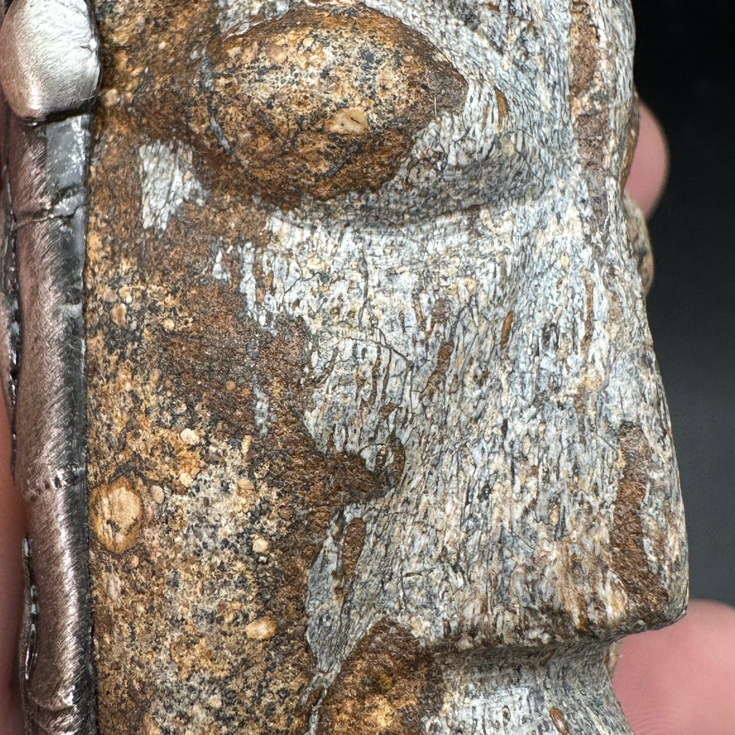 Mask ~ Carved Fossil Dinosaur Bone Necklace
