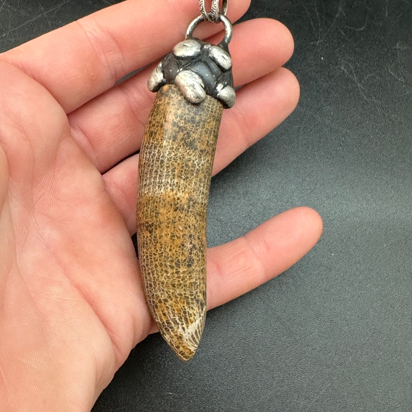 Horus ~ Fossil Horn Coral Necklace