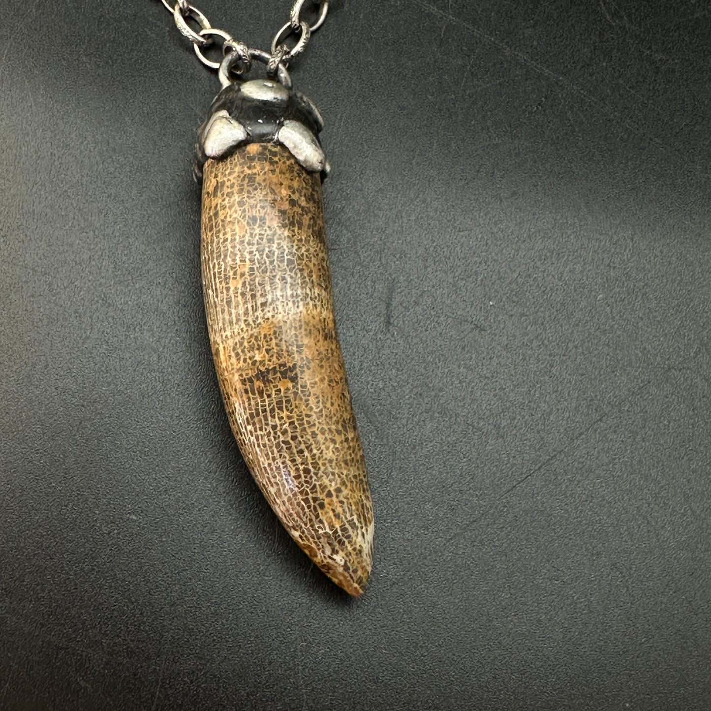 Horus ~ Fossil Horn Coral Necklace