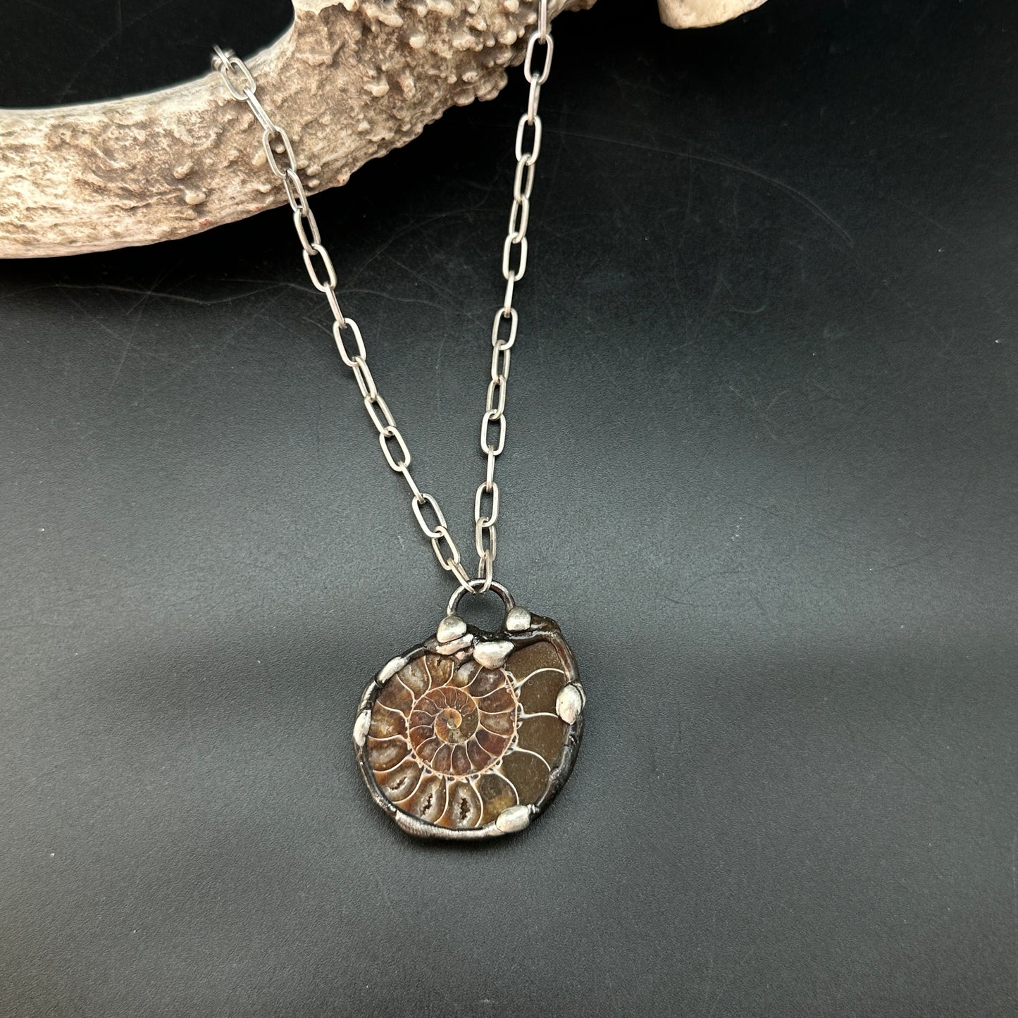 Fibonacci ~ Fossil Ammonite Necklace