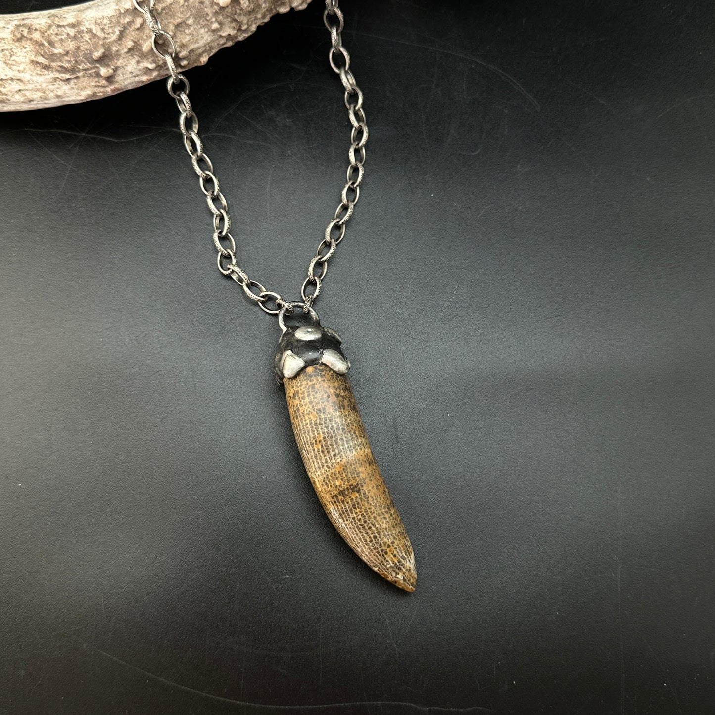 Horus ~ Fossil Horn Coral Necklace
