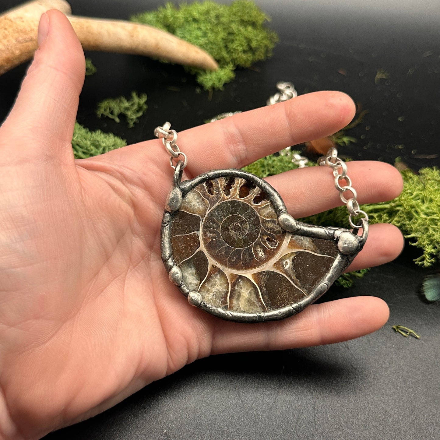 Fibonacci ~ Fossil Ammonite Necklace