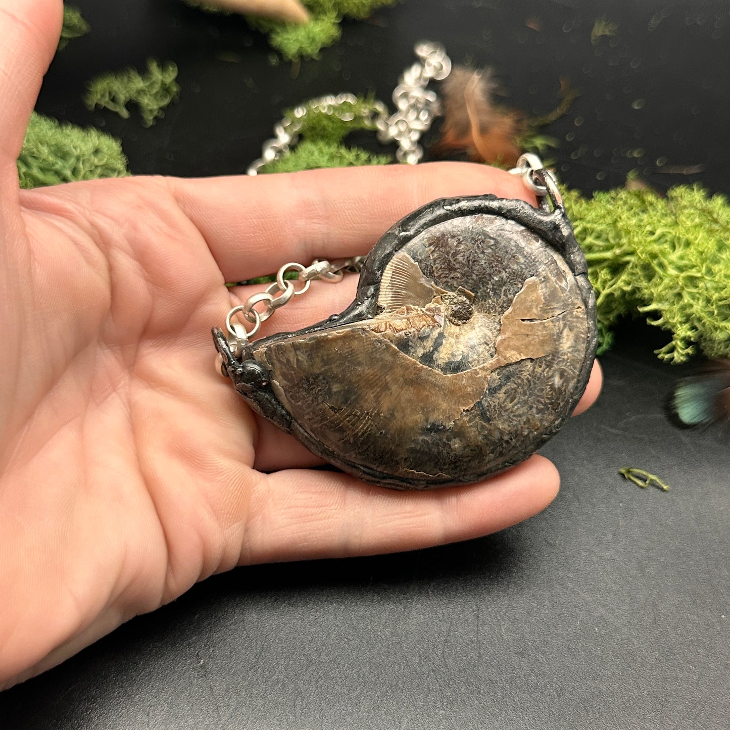 Fibonacci ~ Fossil Ammonite Necklace