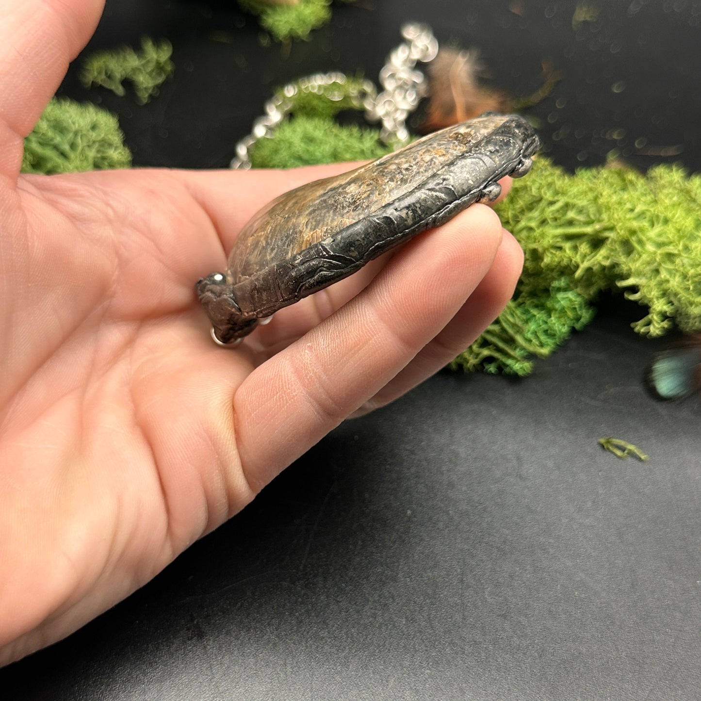 Fibonacci ~ Fossil Ammonite Necklace