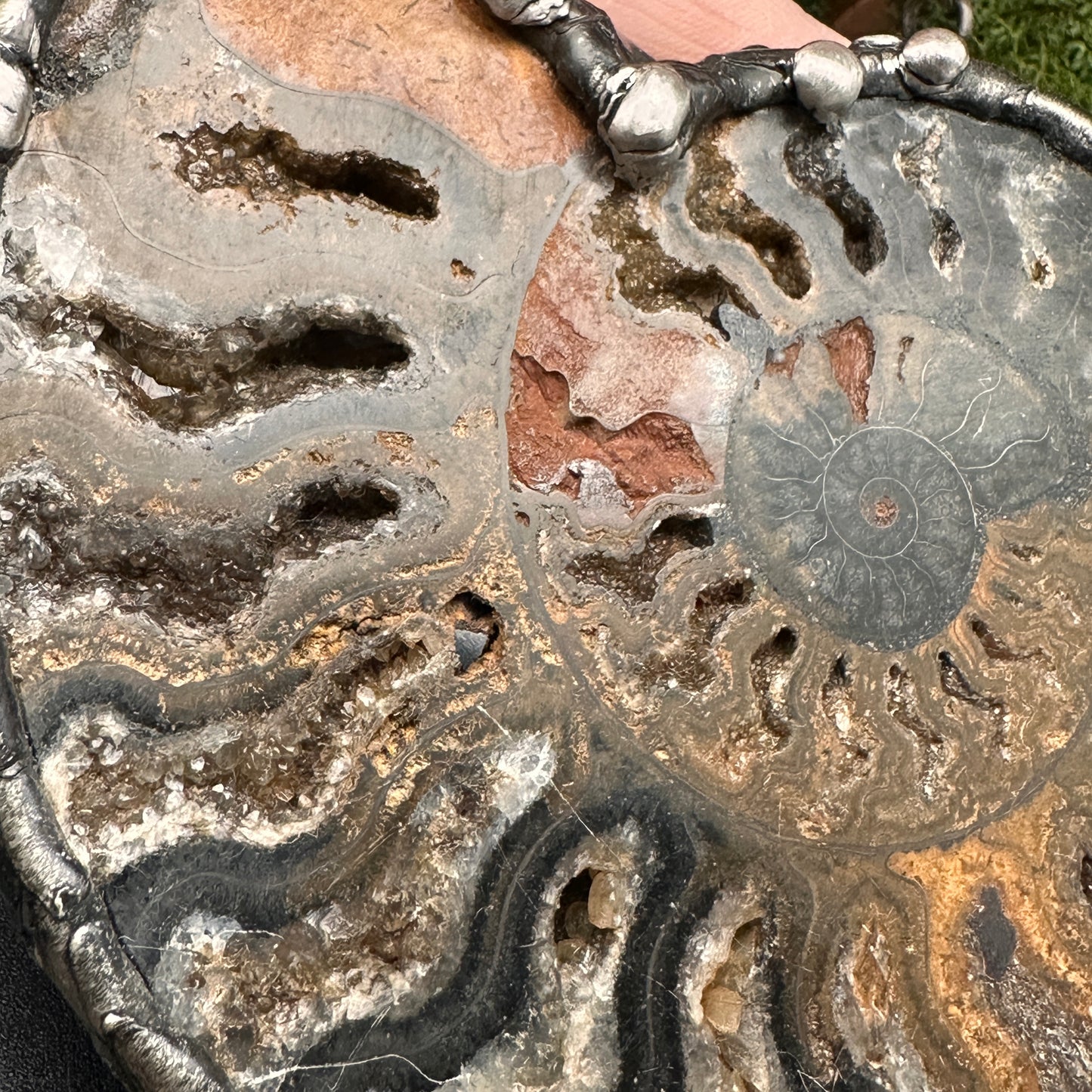 Fibonacci ~ Massive Fossil Ammonite Necklace