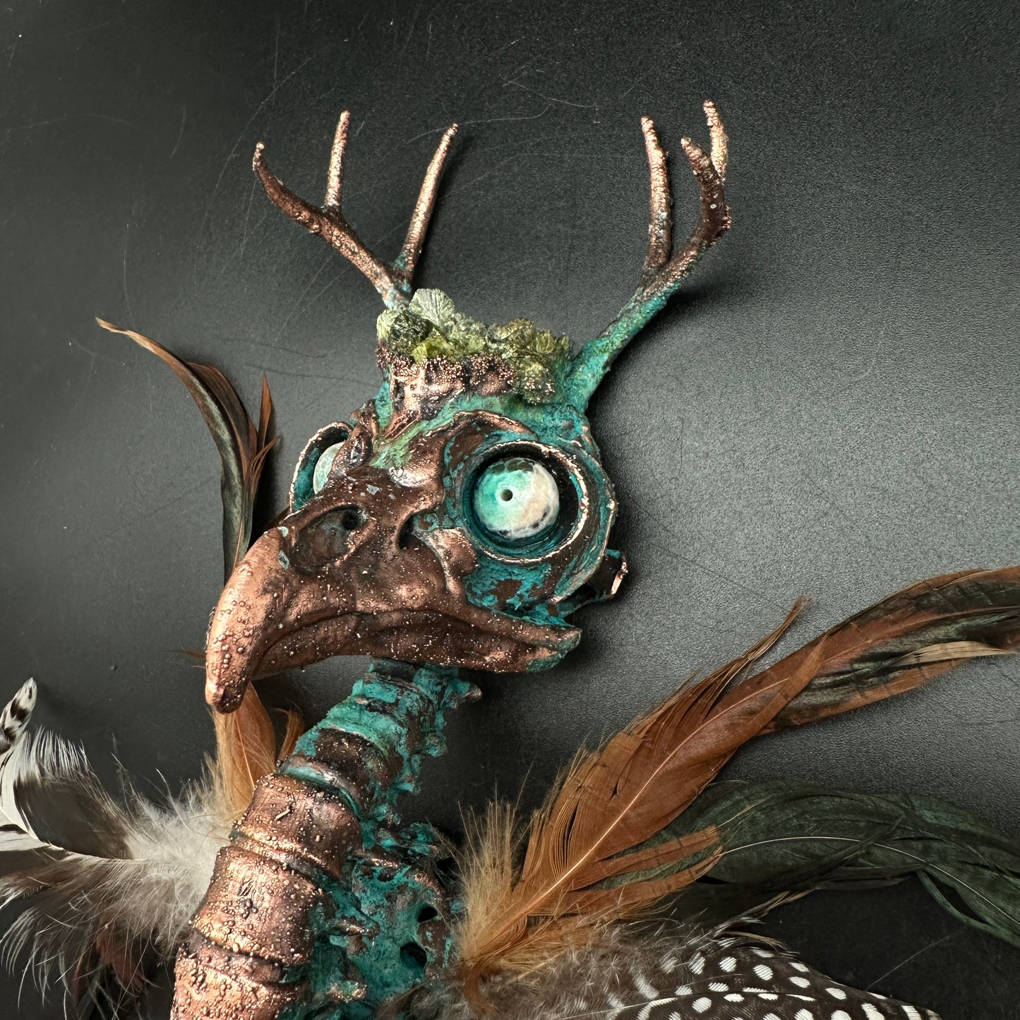 Sweet Tooth ~ Featherhead w/ Antlers Wall Mount