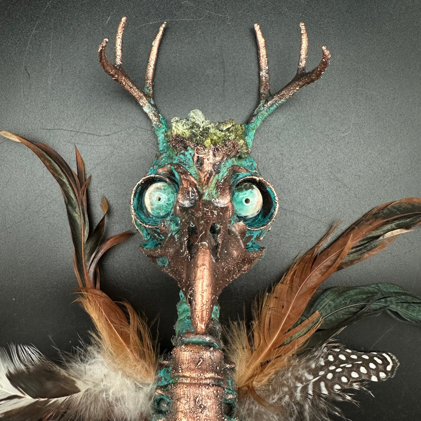 Sweet Tooth ~ Featherhead w/ Antlers Wall Mount