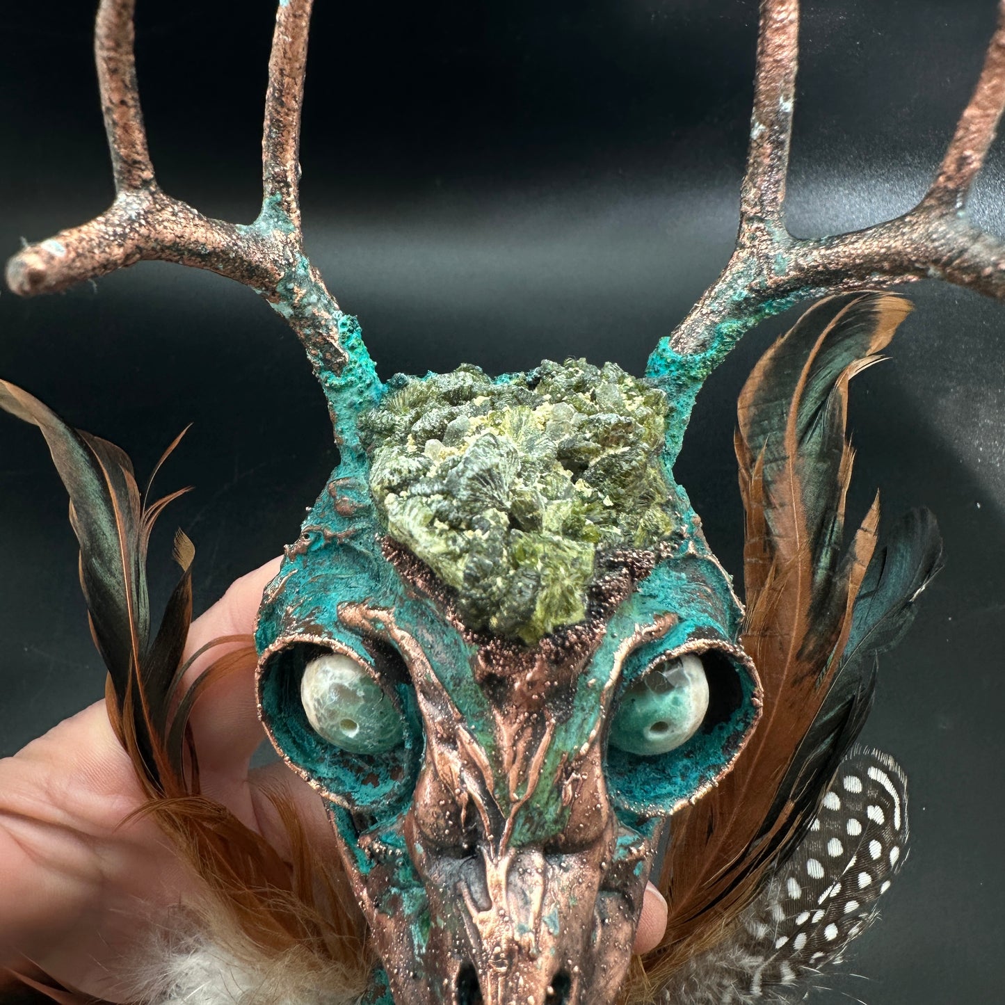Sweet Tooth ~ Featherhead w/ Antlers Wall Mount