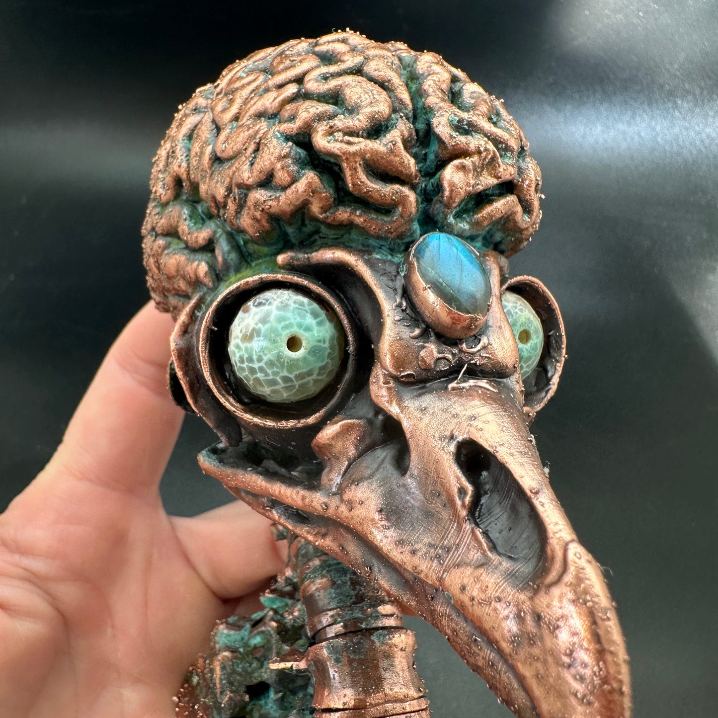 Bird Brain Wall Mount ~ New Limited Edition