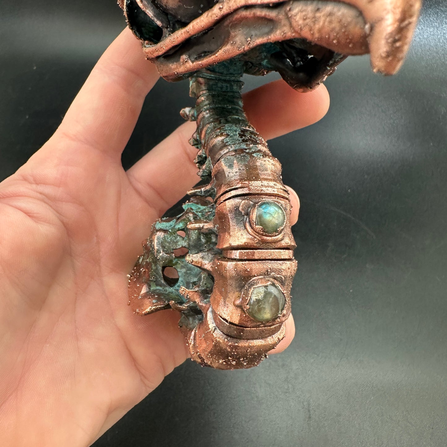 Bird Brain Wall Mount ~ New Limited Edition