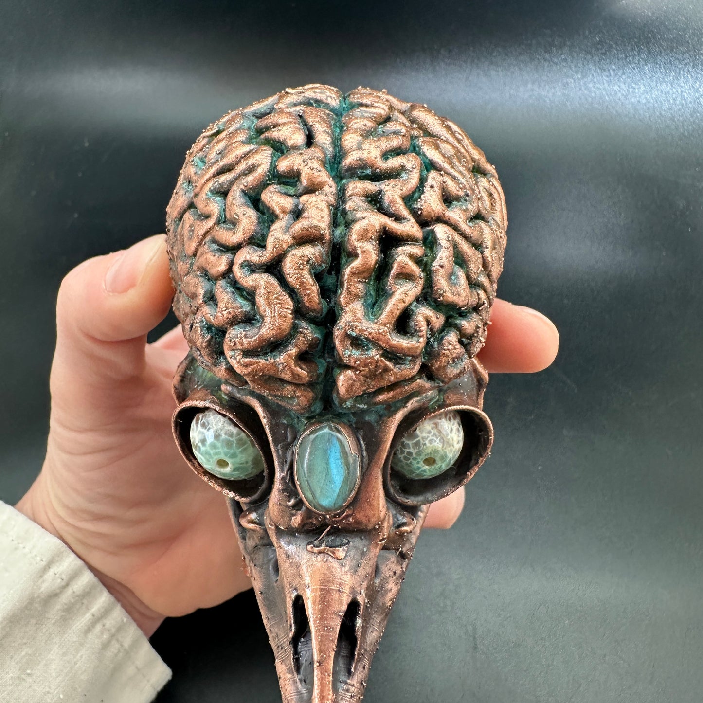 Bird Brain Wall Mount ~ New Limited Edition