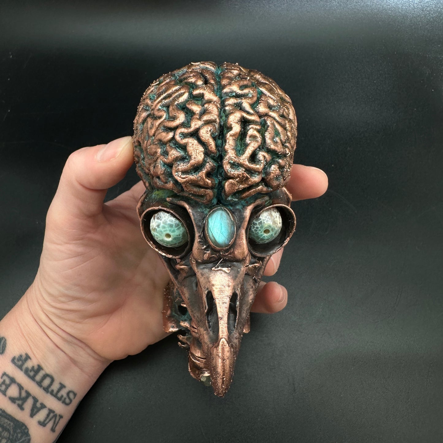 Bird Brain Wall Mount ~ New Limited Edition