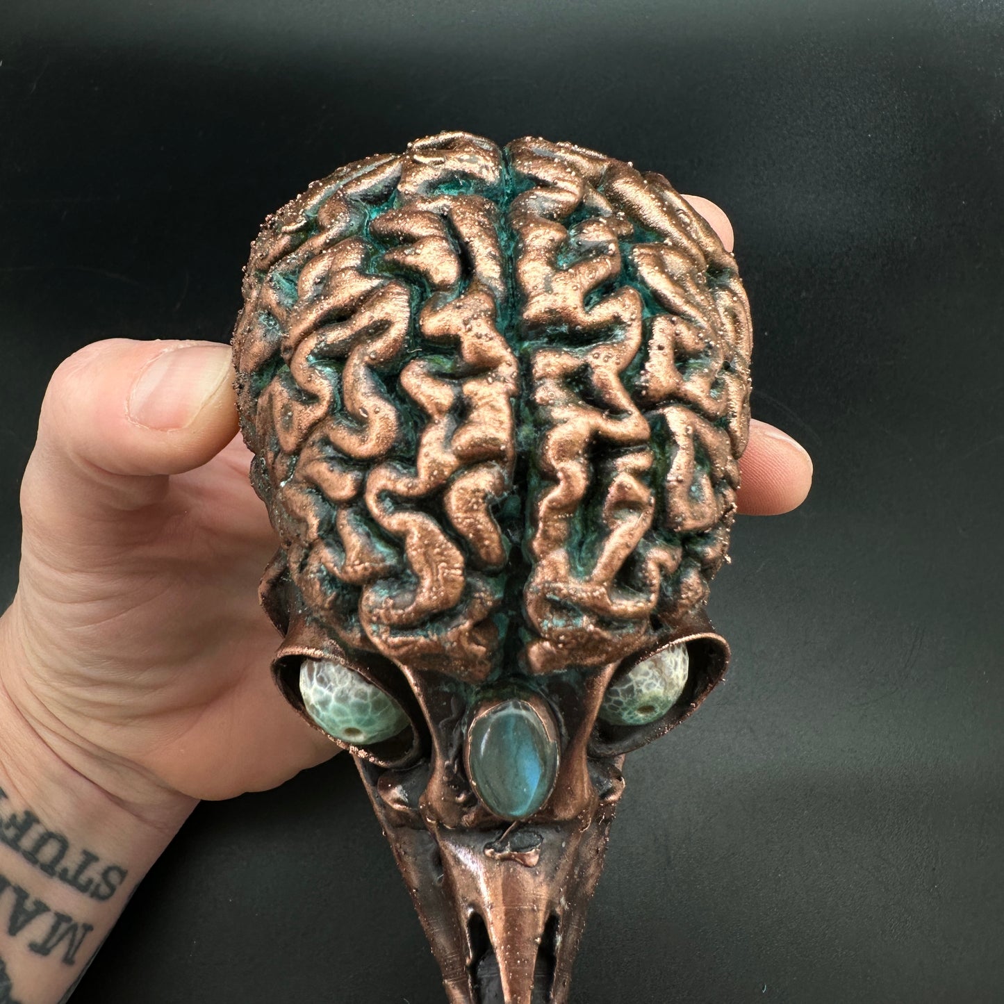 Bird Brain Wall Mount ~ New Limited Edition