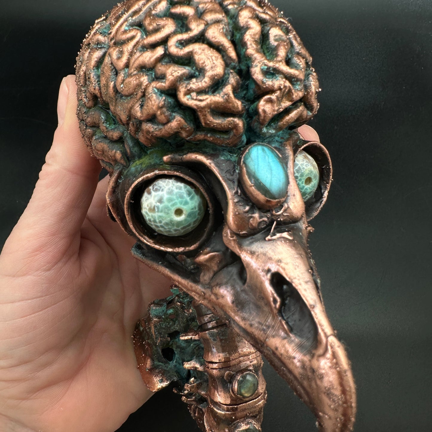 Bird Brain Wall Mount ~ New Limited Edition