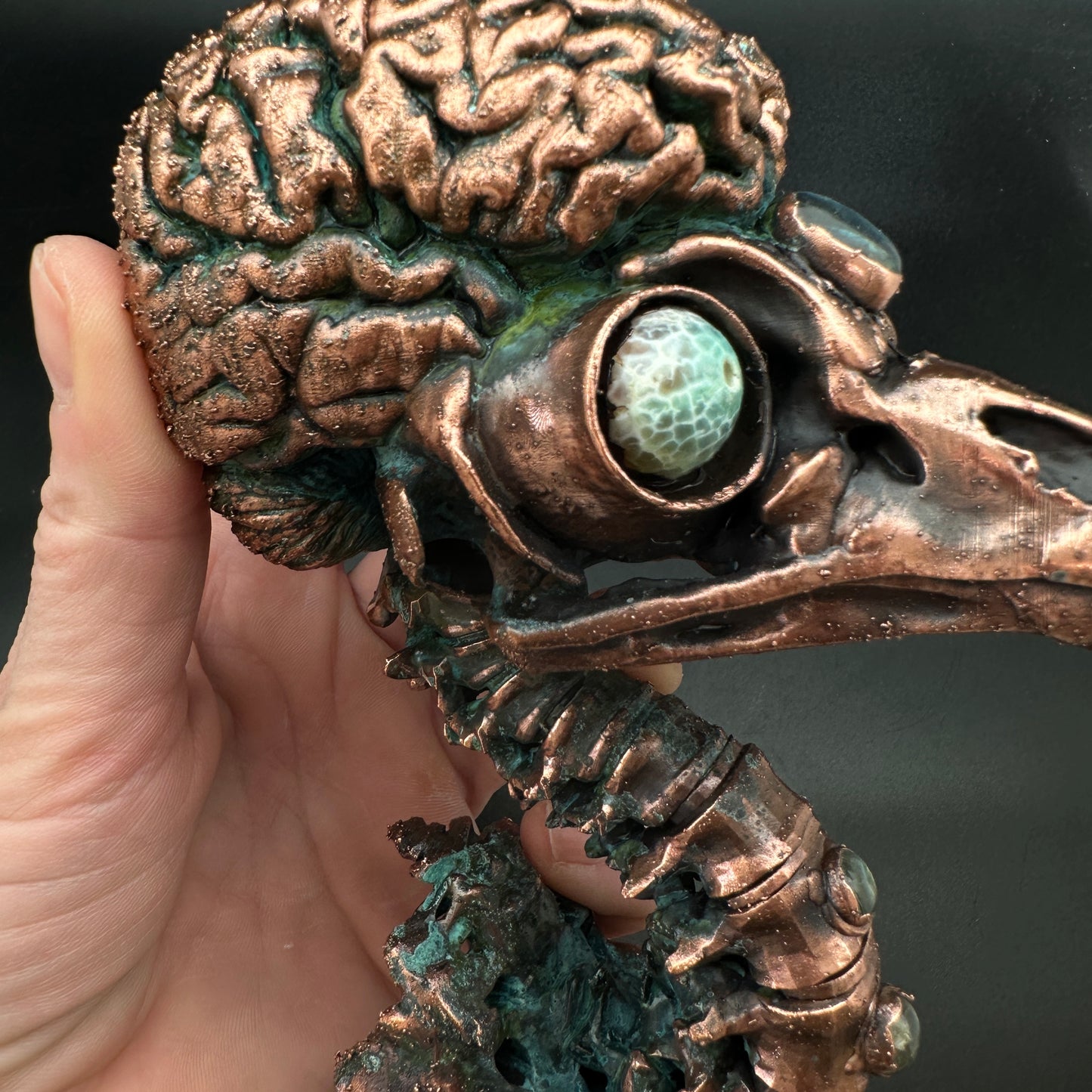 Bird Brain Wall Mount ~ New Limited Edition