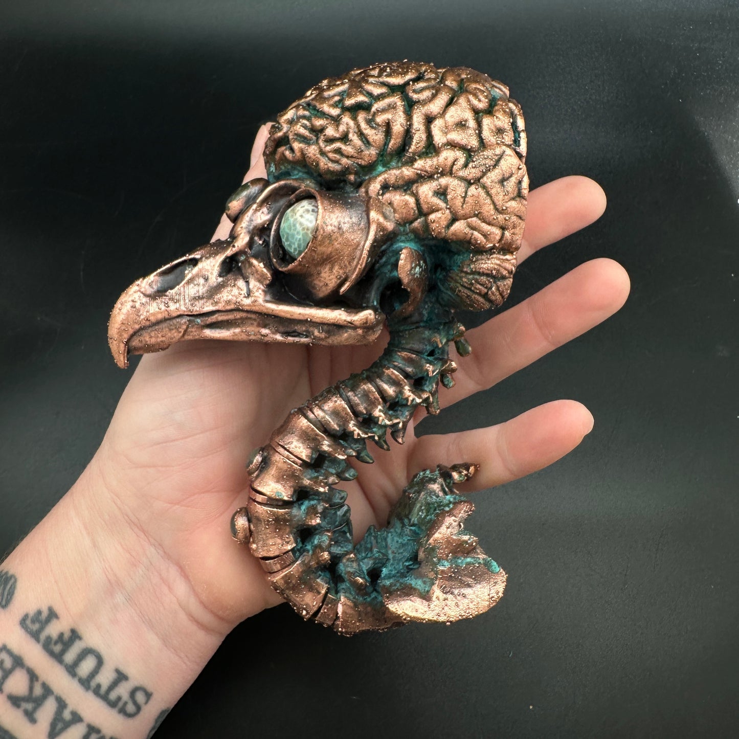 Bird Brain Wall Mount ~ New Limited Edition