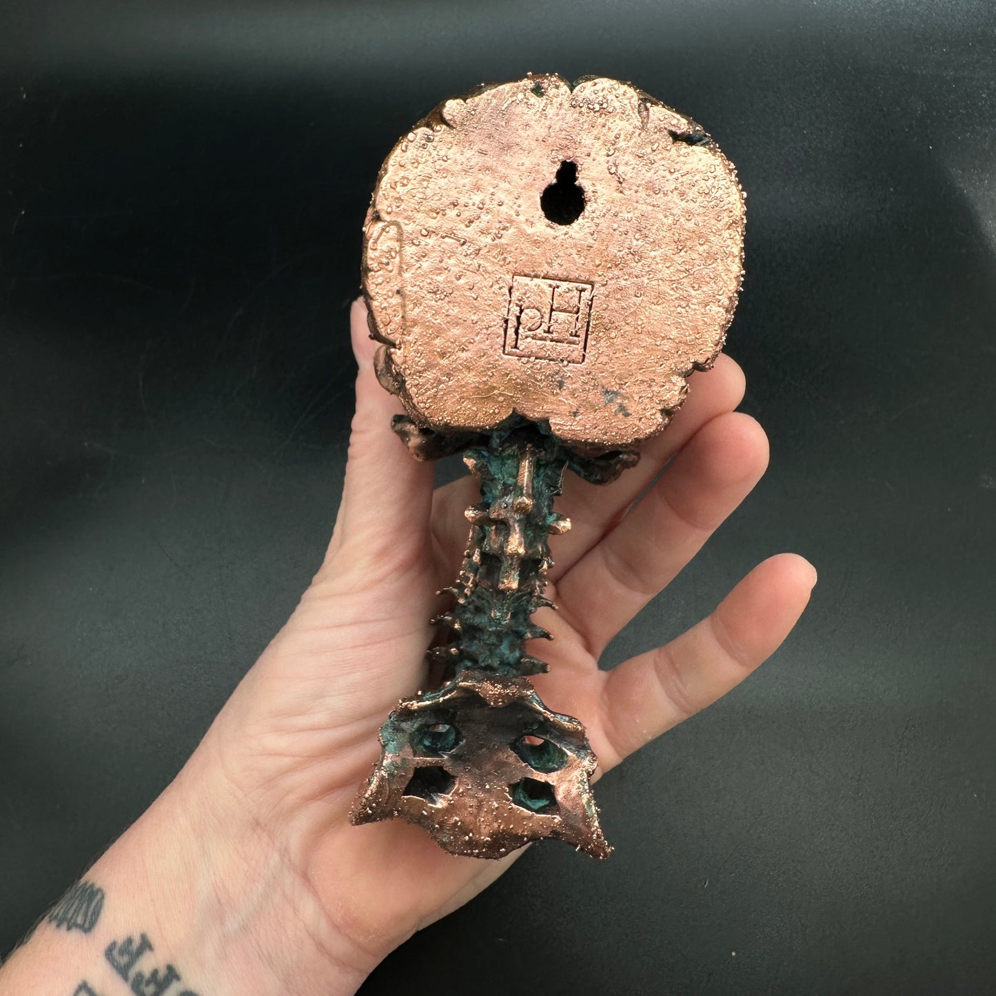 Bird Brain Wall Mount ~ New Limited Edition