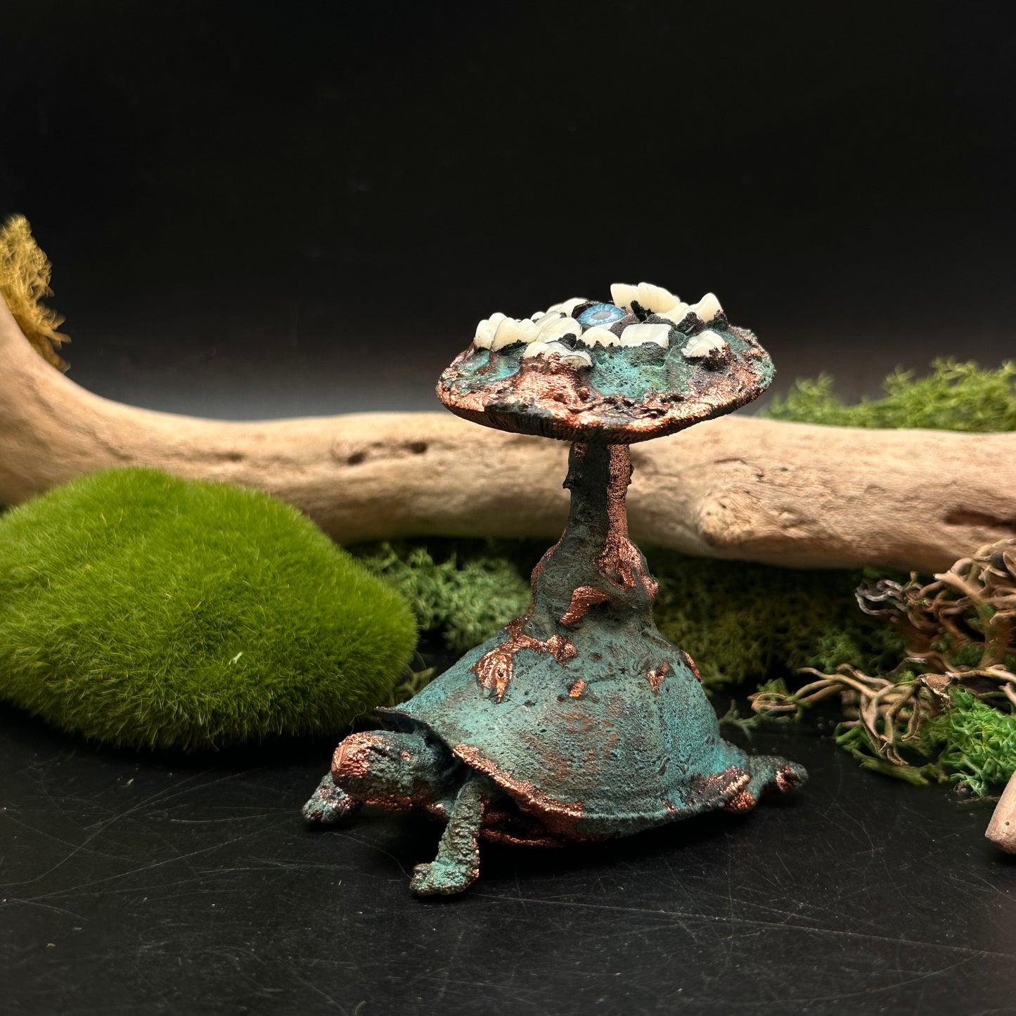 The Jeilone ~ Tooth & Eye Turtle