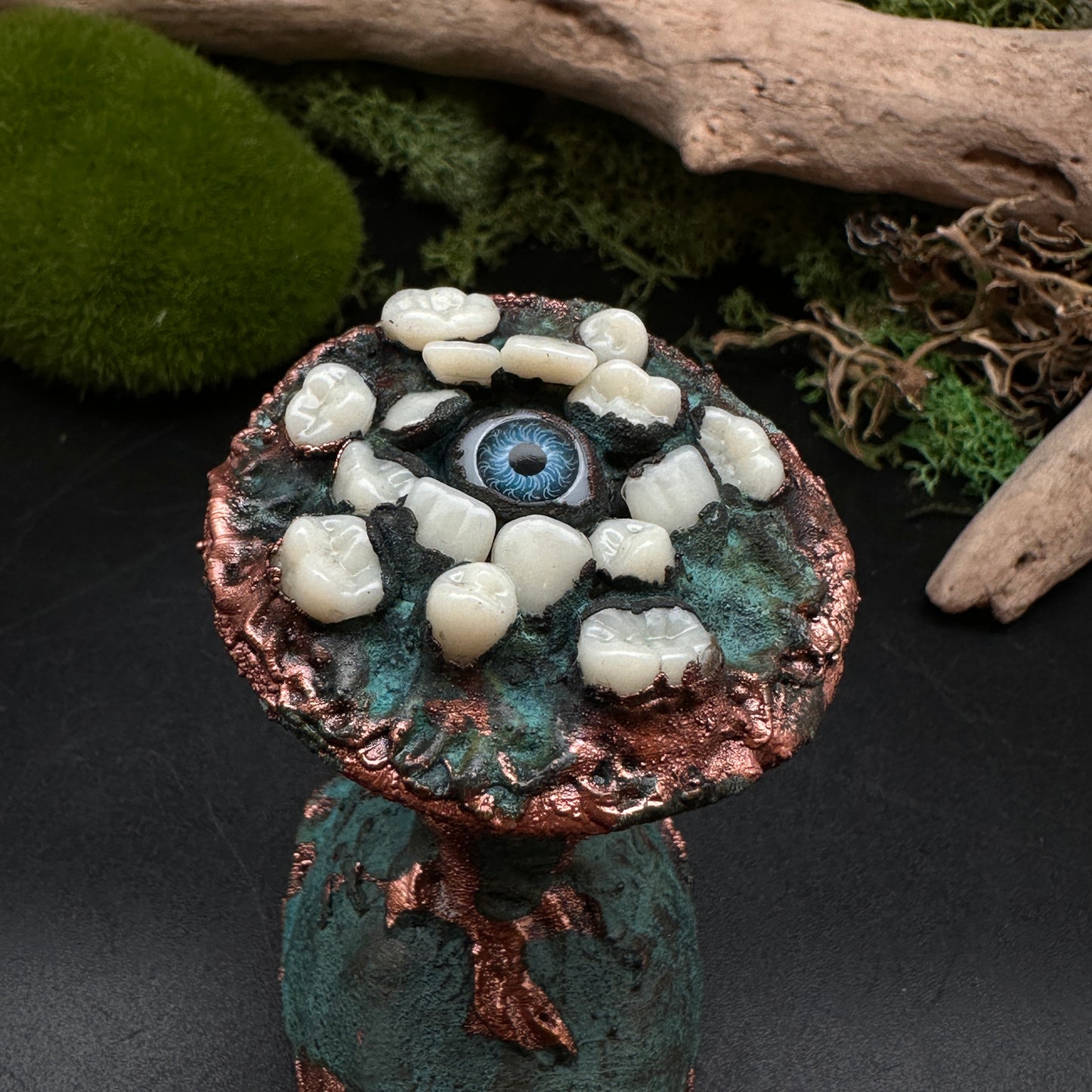 The Jeilone ~ Tooth & Eye Turtle