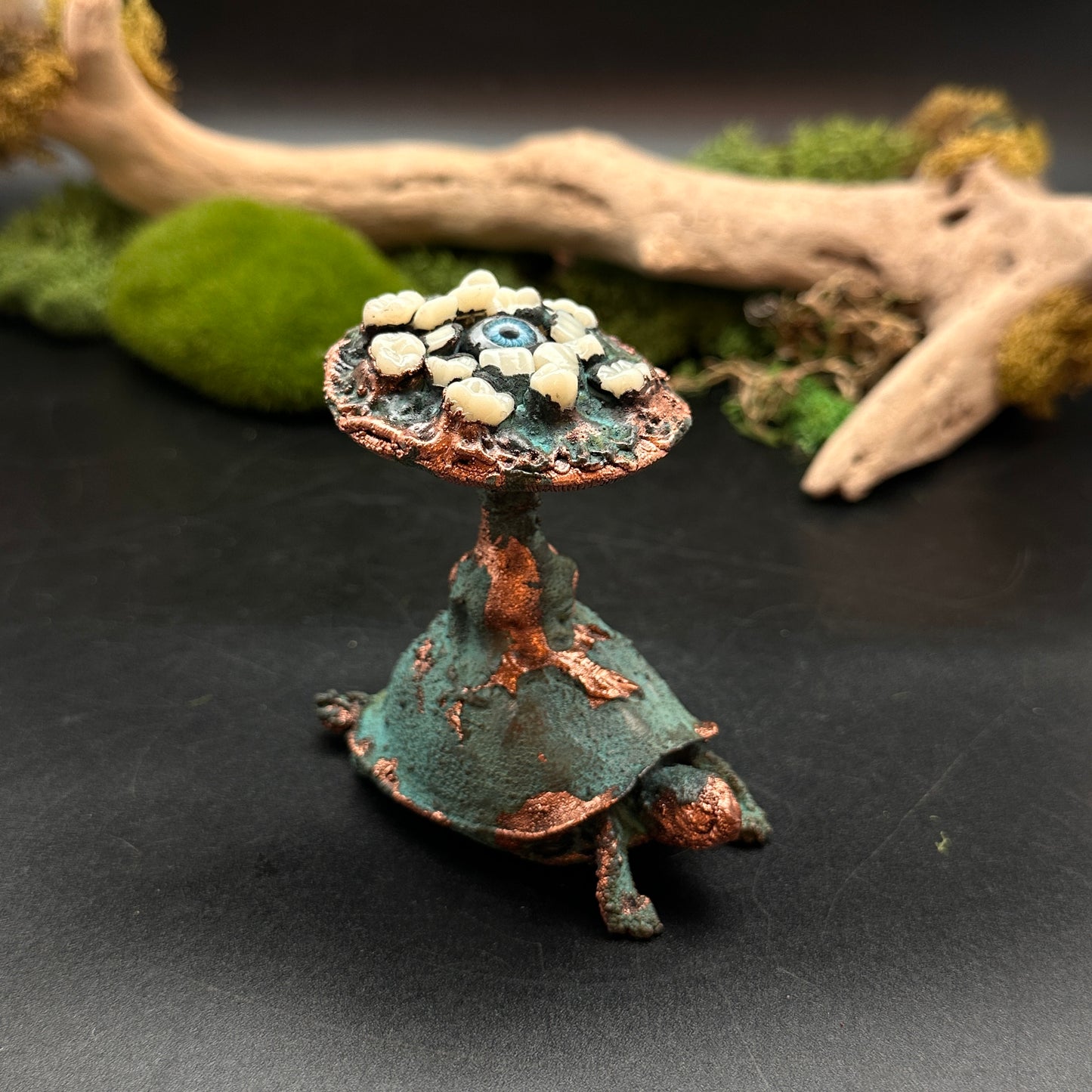 The Jeilone ~ Tooth & Eye Turtle