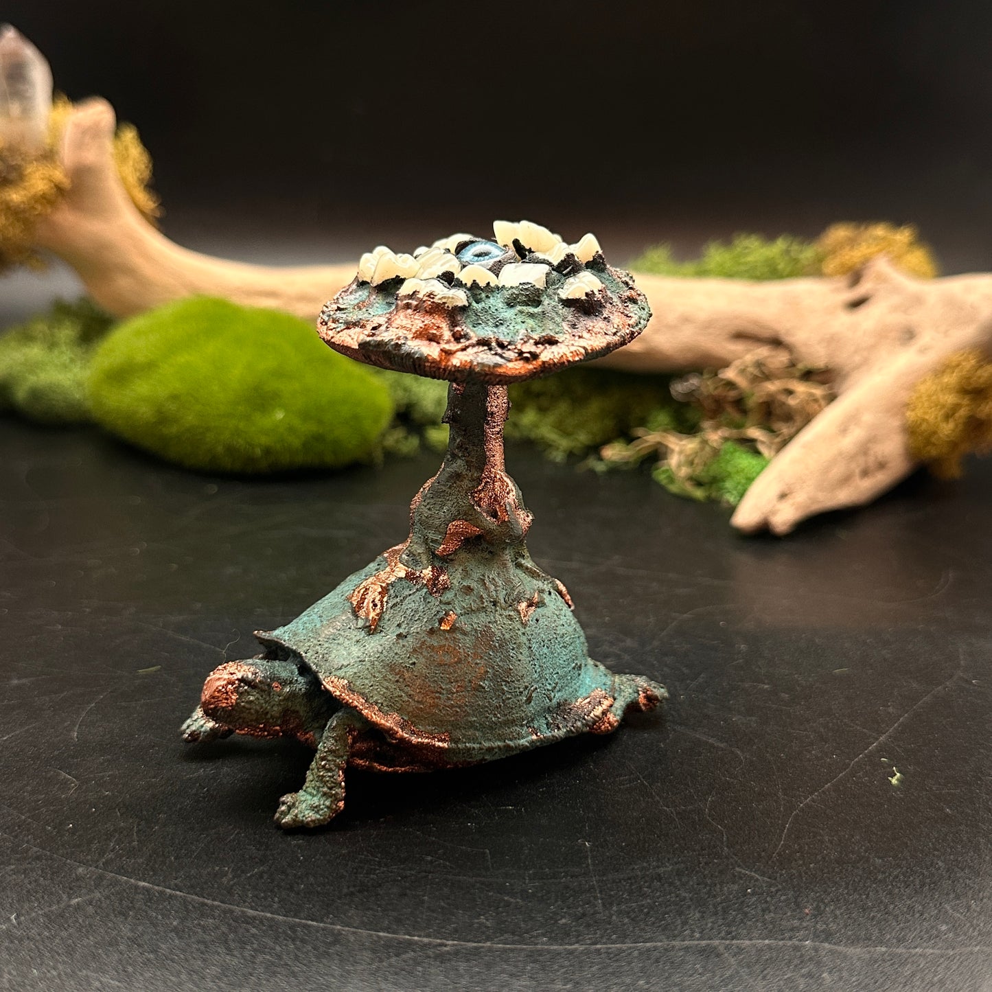 The Jeilone ~ Tooth & Eye Turtle