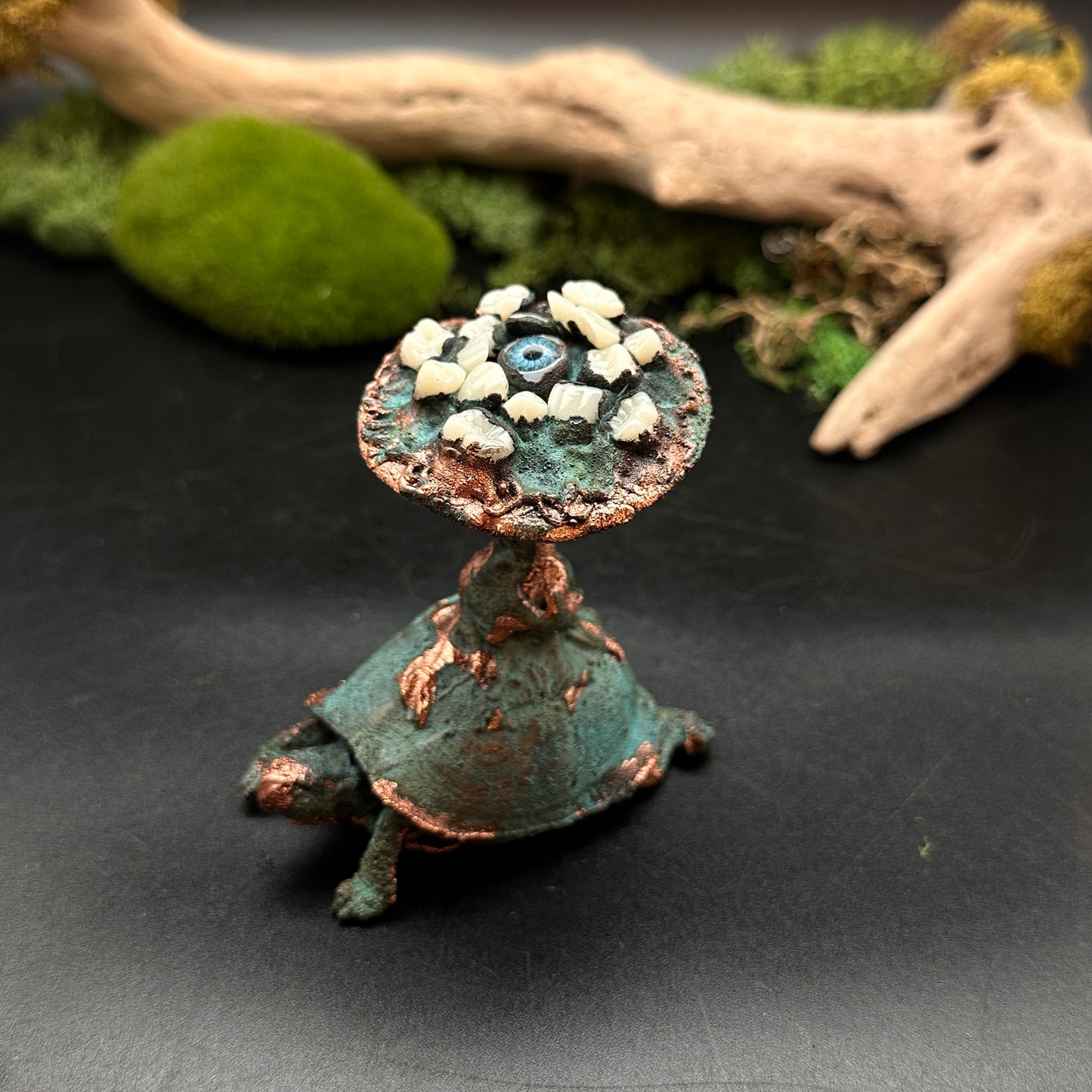 The Jeilone ~ Tooth & Eye Turtle