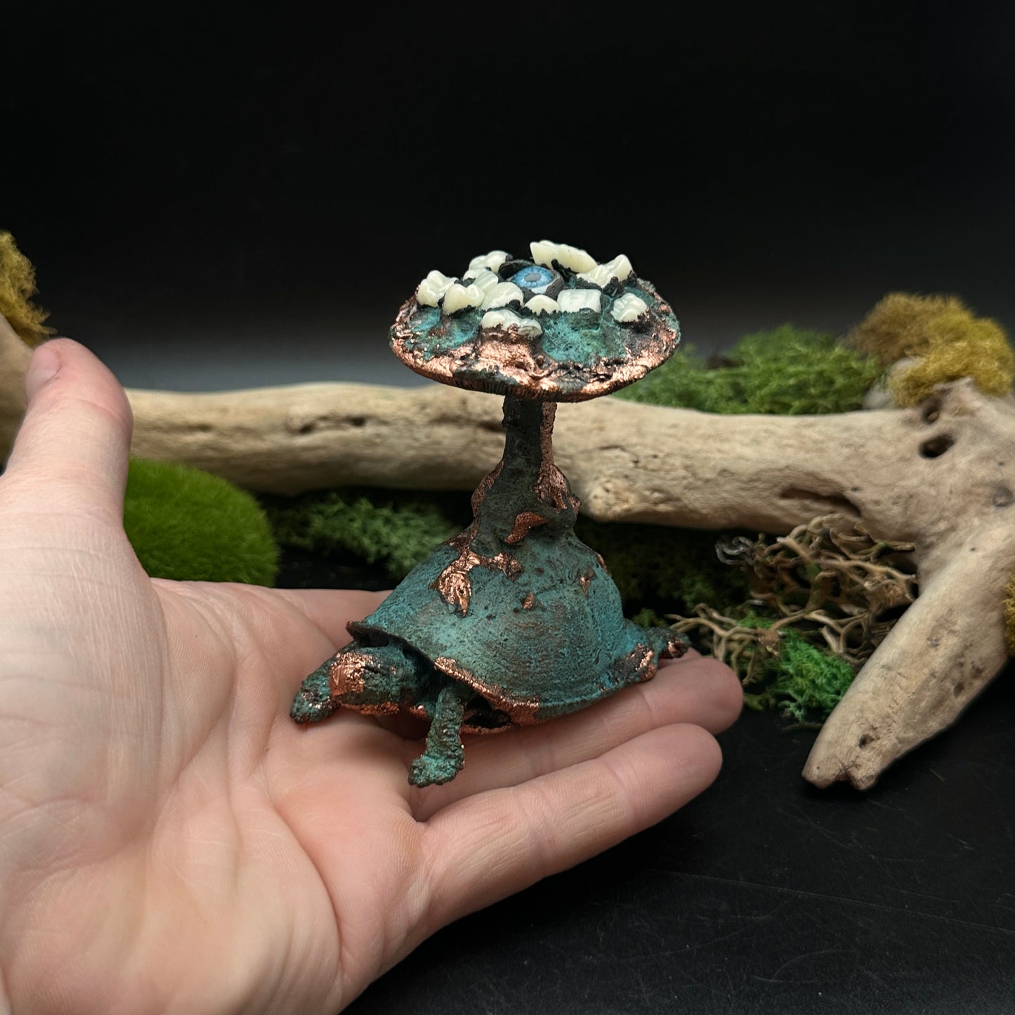 The Jeilone ~ Tooth & Eye Turtle