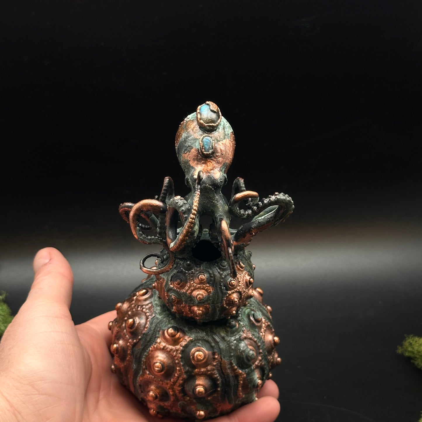 Oceana ~ Octopus & Urchin