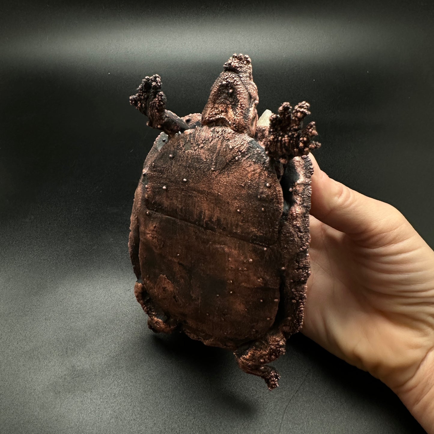Turtle Castle ~ Copper Electroformed Box Turtle (not real)