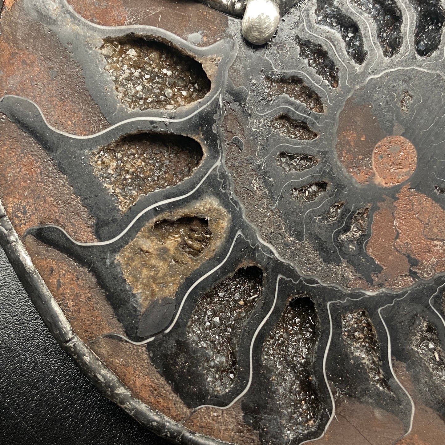 Fibonacci ~ Fossil Black Ammonite Necklace