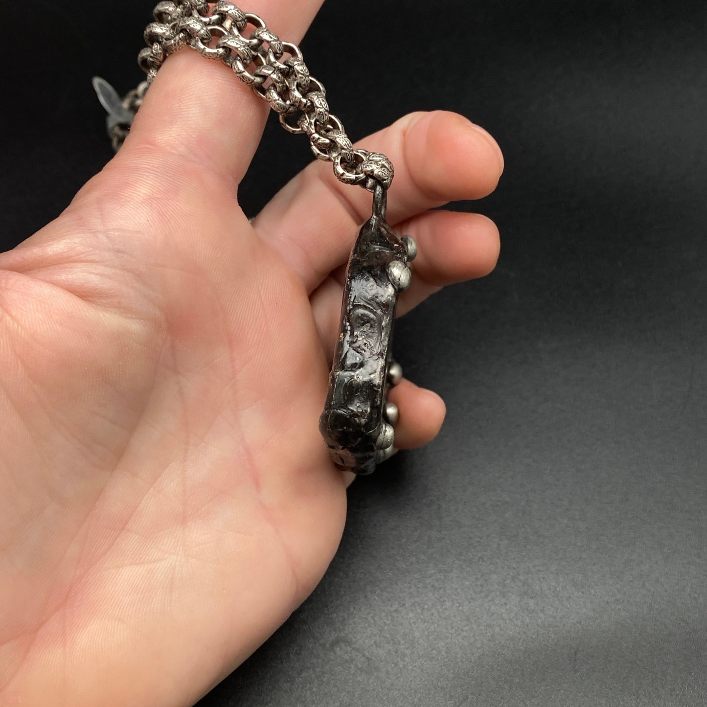 Goliath ~ Petrified Wood Necklace