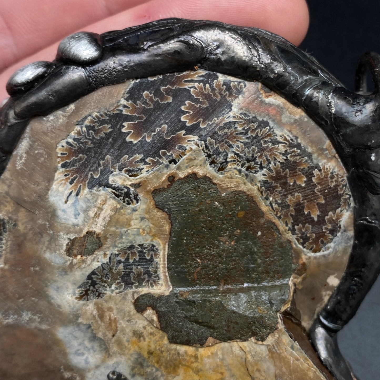 Fibonacci ~ Fossil Ammonite Necklace