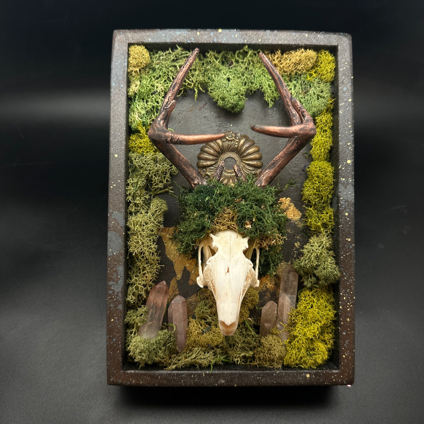 Bloodroot Reliquary ~ Jackalope Assemblage