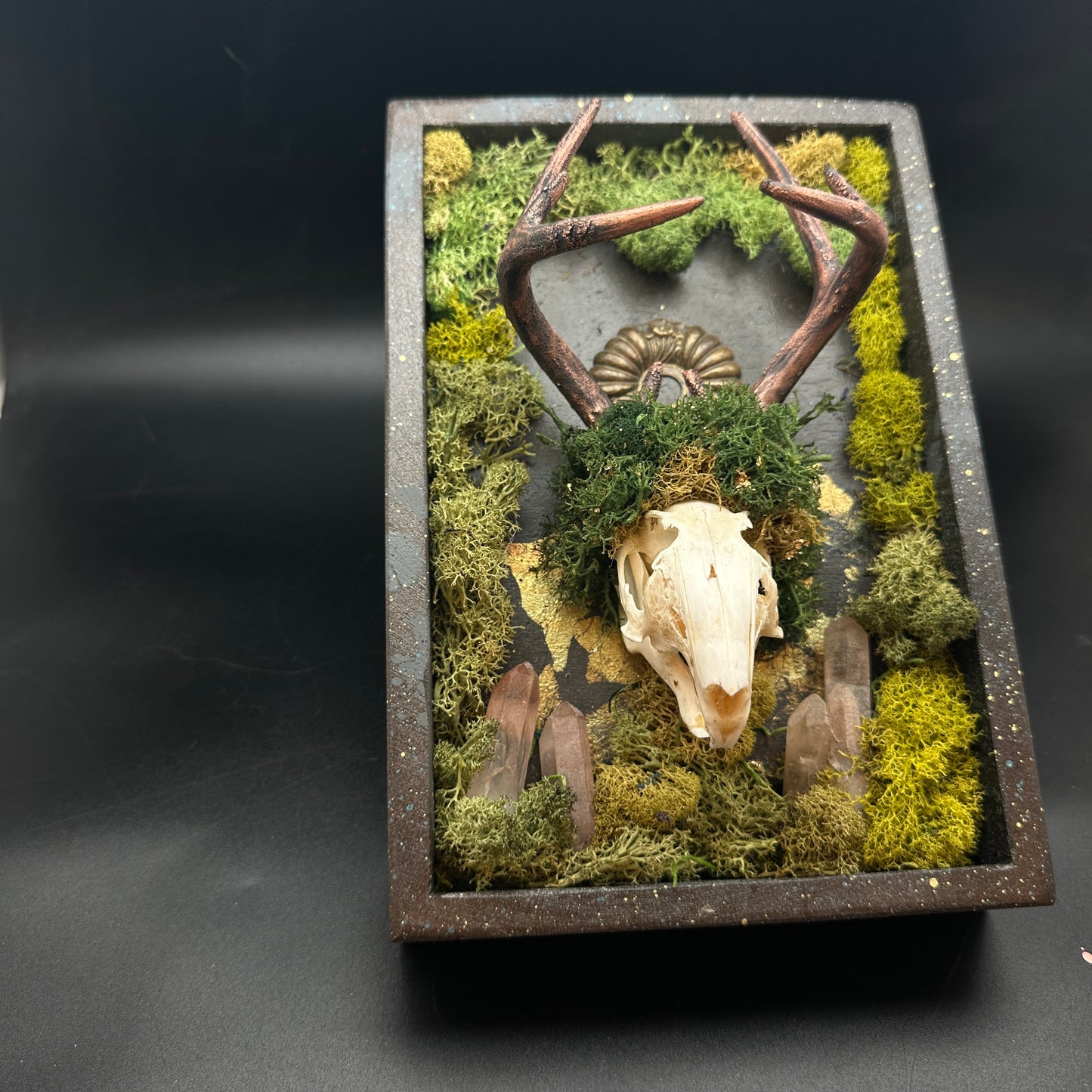 Bloodroot Reliquary ~ Jackalope Assemblage