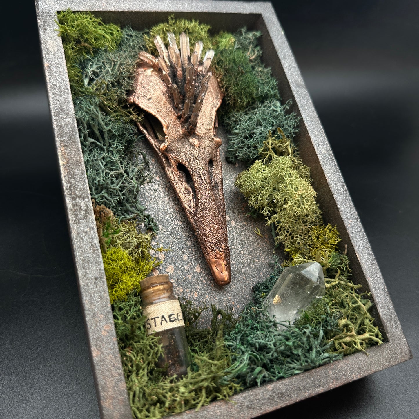 The Stage Of Becoming ~ Raven Reliquary