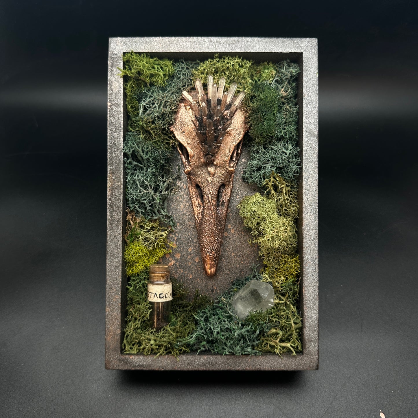 The Stage Of Becoming ~ Raven Reliquary