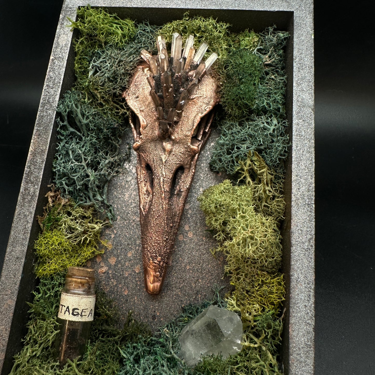 The Stage Of Becoming ~ Raven Reliquary
