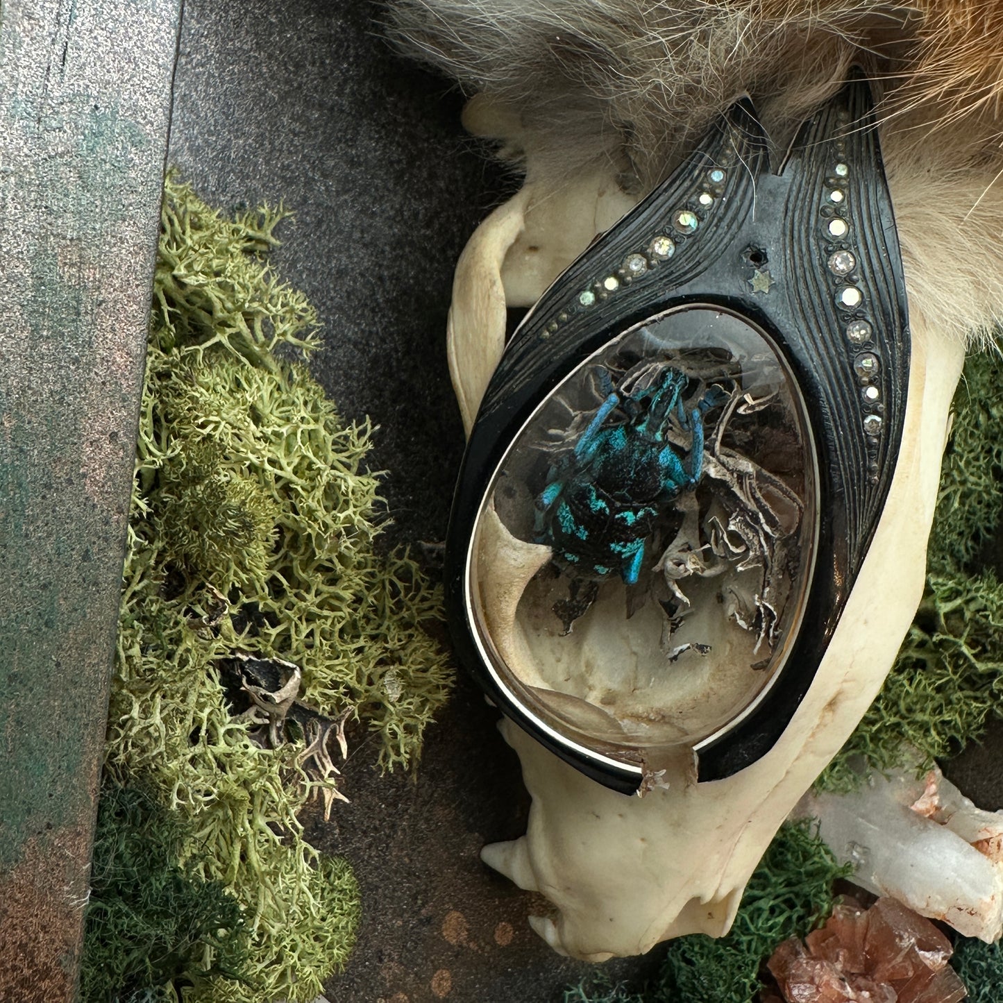 Copper Hollow ~ Skull Assemblage