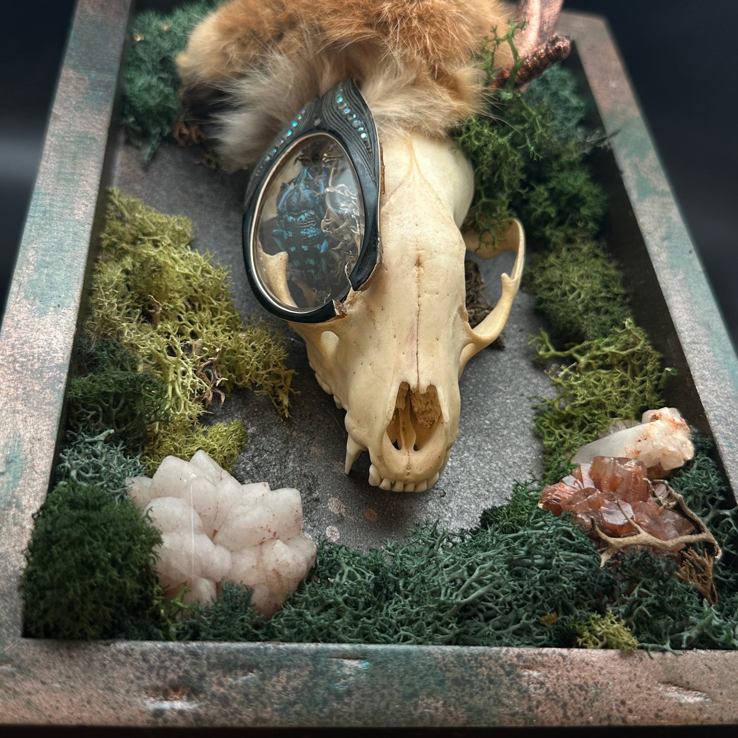 Copper Hollow ~ Skull Assemblage