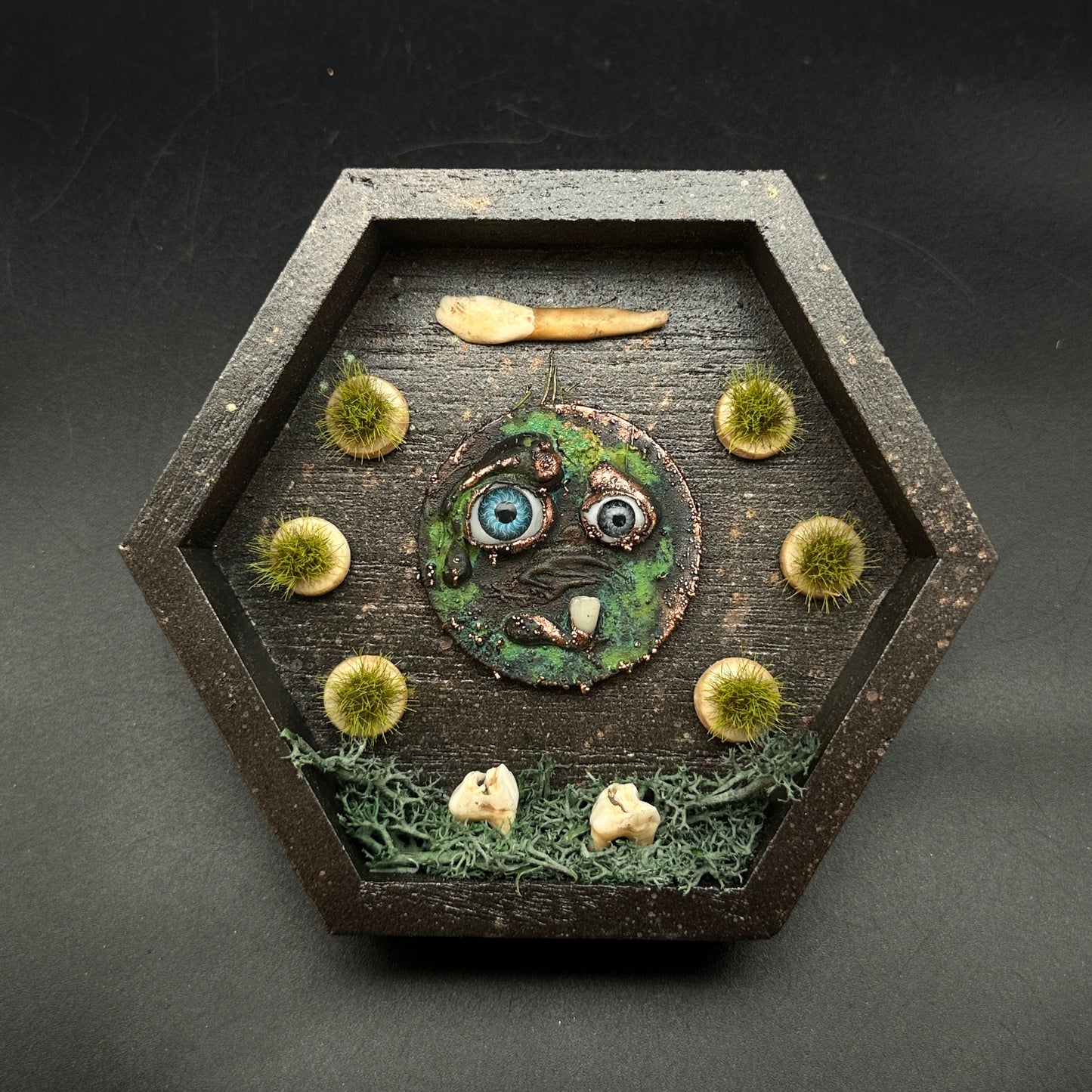 The Teeth Beneath ~ Wall Mounted Box