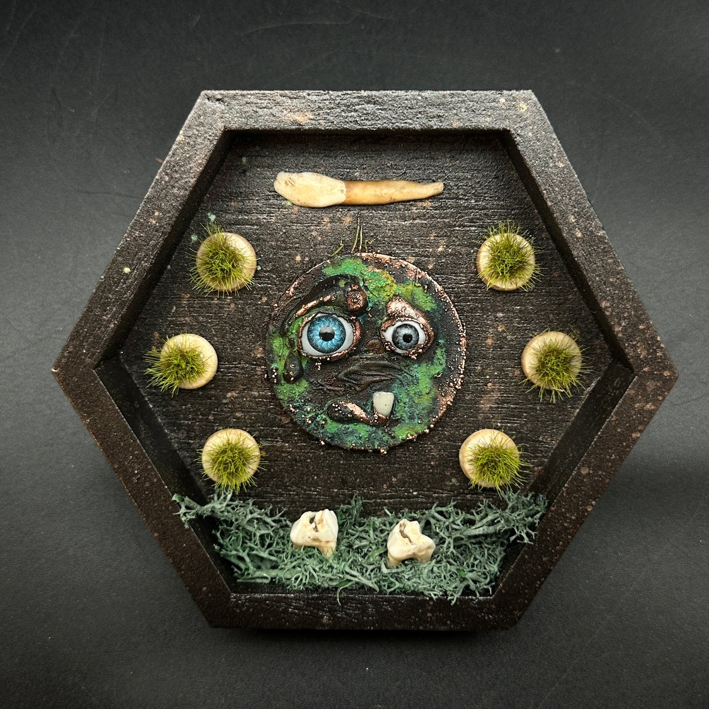 The Teeth Beneath ~ Wall Mounted Box