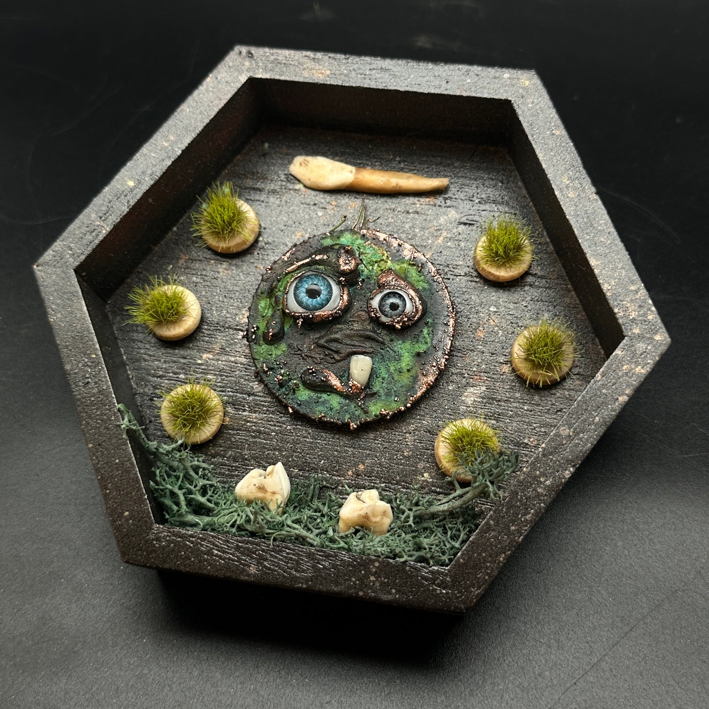 The Teeth Beneath ~ Wall Mounted Box