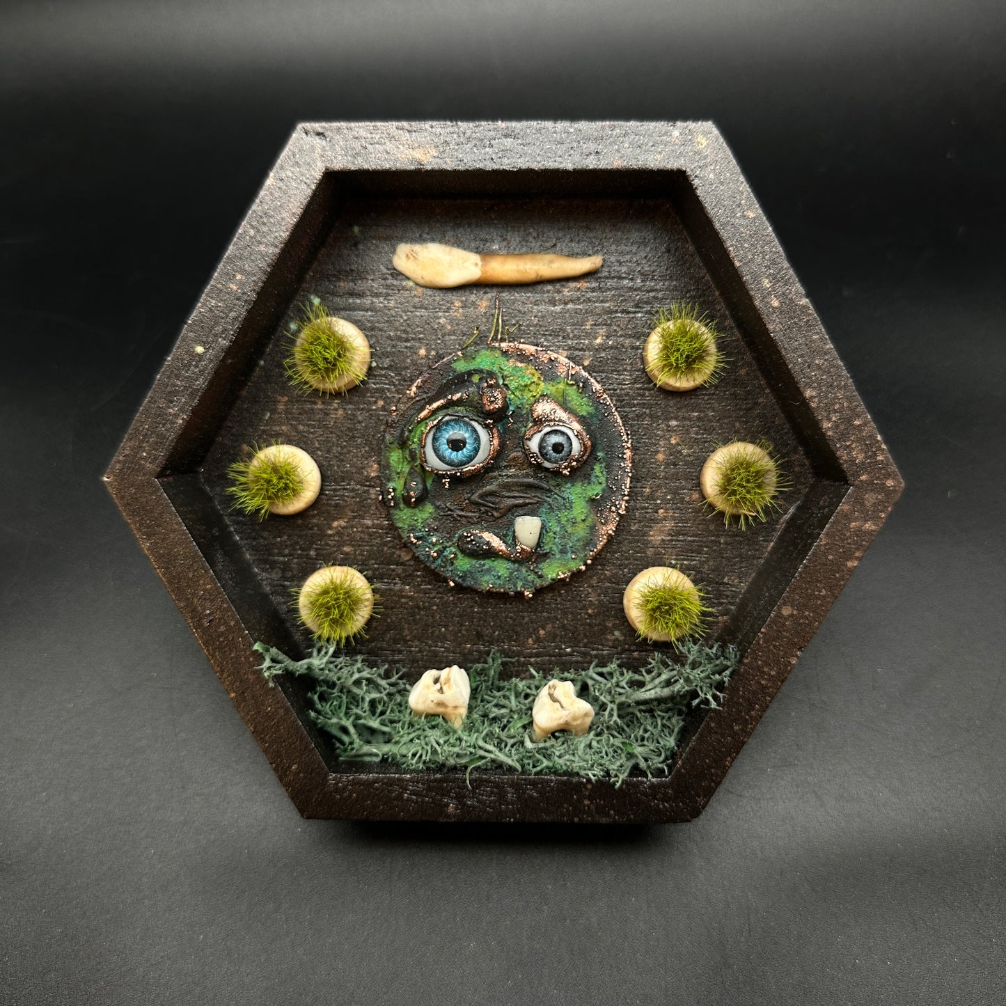 The Teeth Beneath ~ Wall Mounted Box