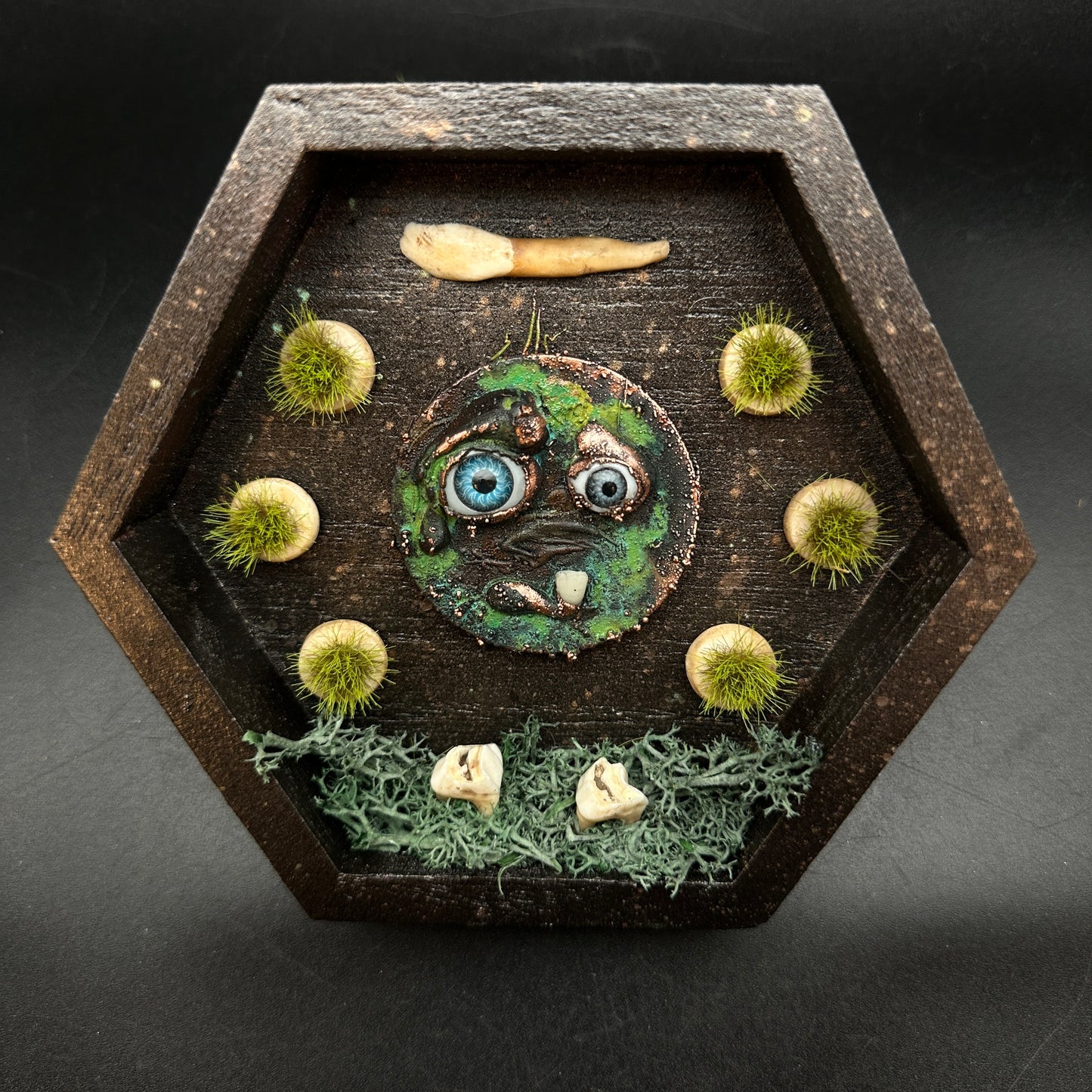 The Teeth Beneath ~ Wall Mounted Box