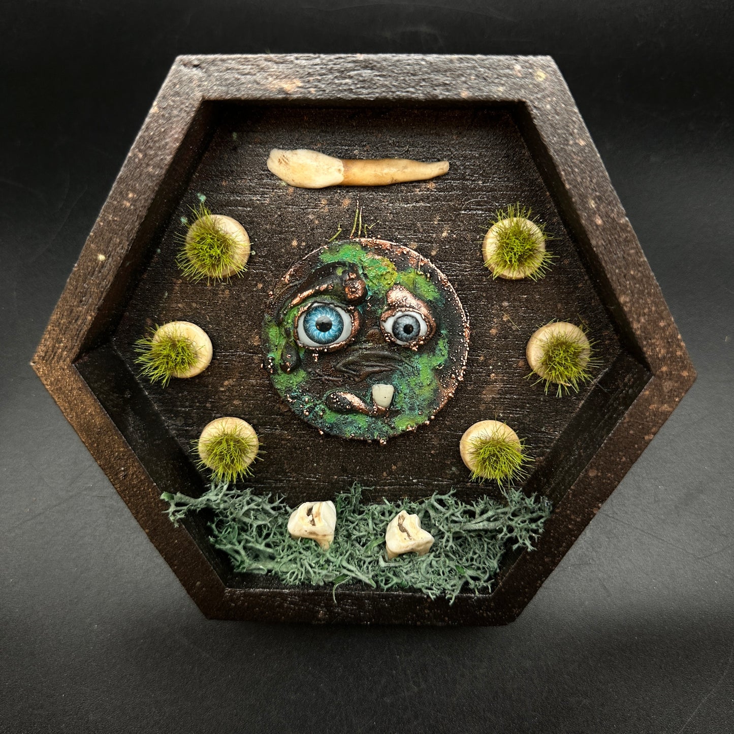 The Teeth Beneath ~ Wall Mounted Box