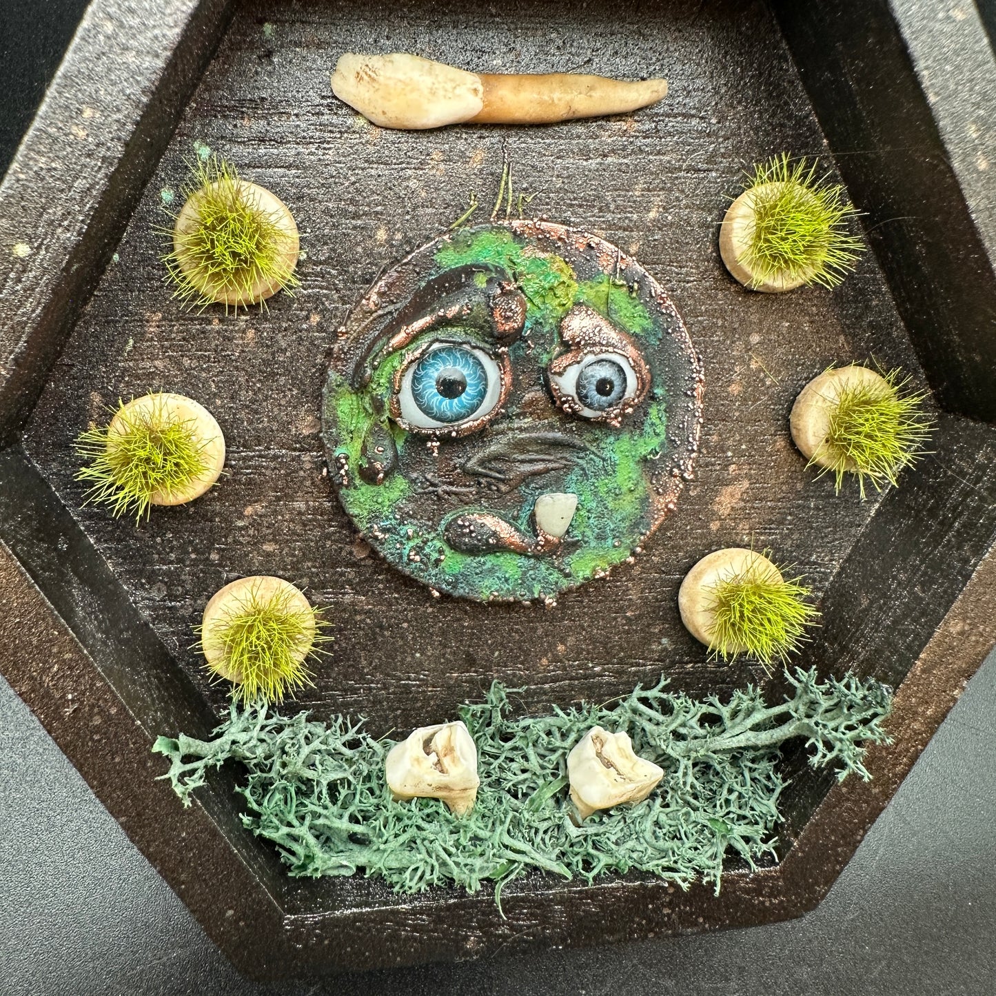 The Teeth Beneath ~ Wall Mounted Box